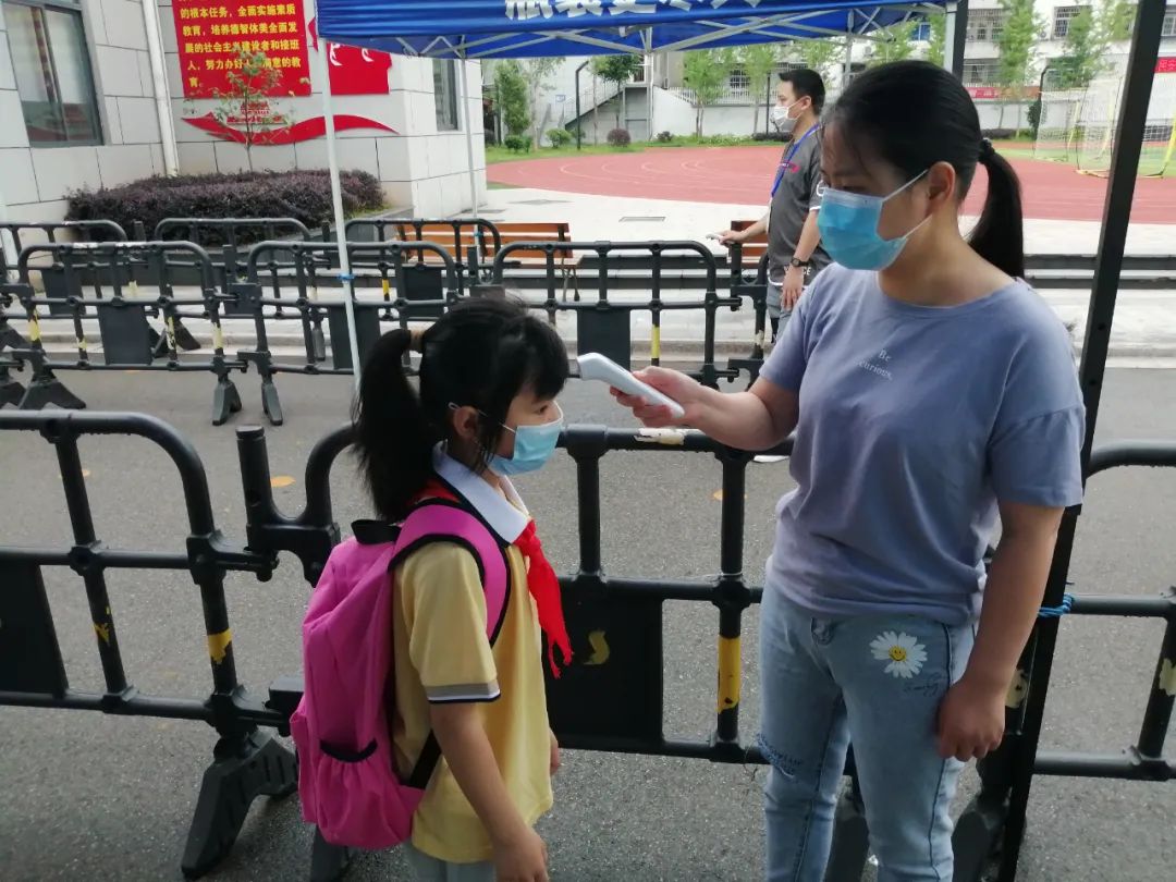 二年级,浦城县,徐友成,光明小学