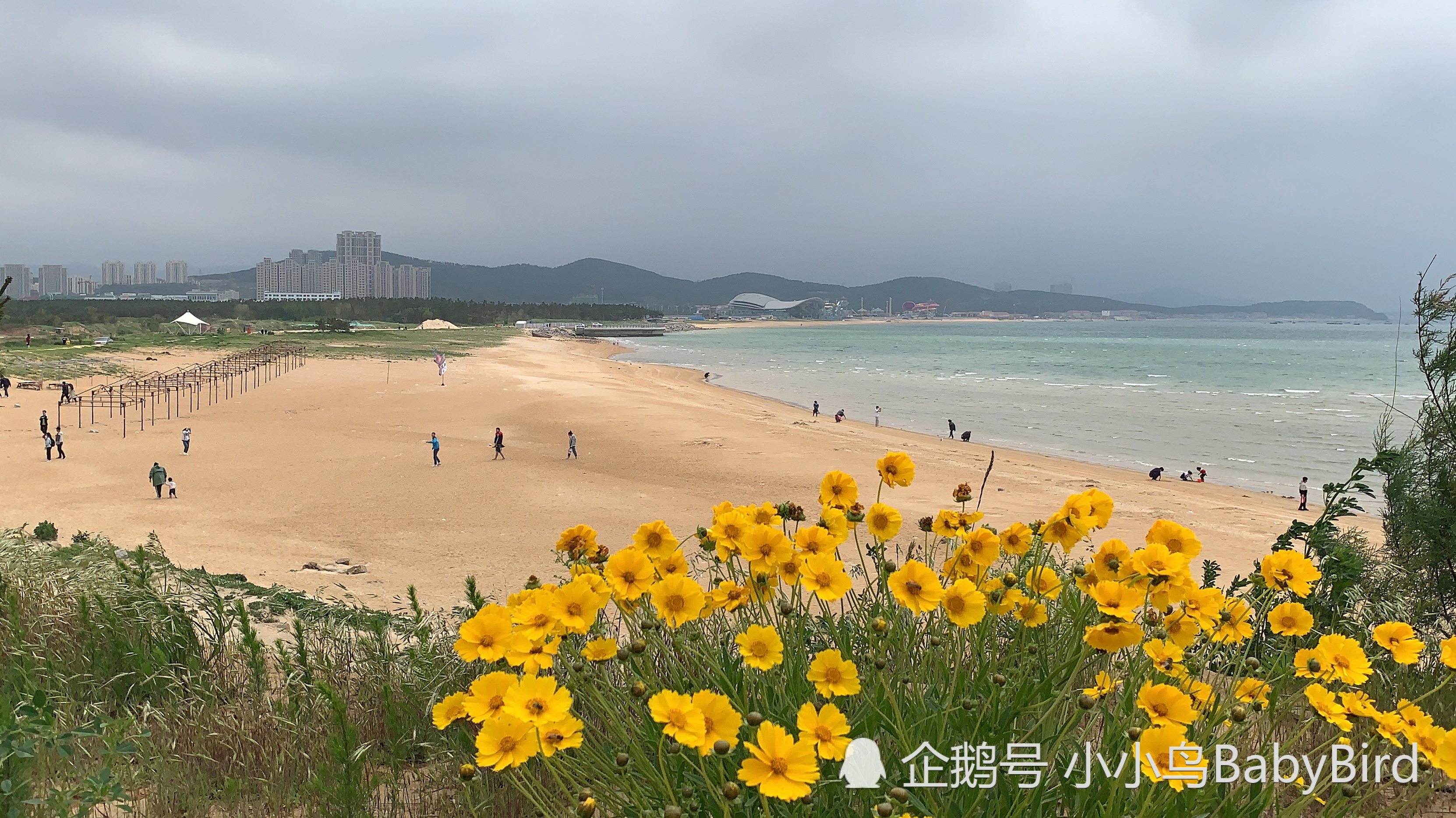 威海,小石岛,生态,美景,海滩