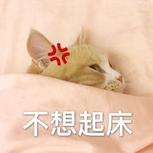 你爱了吗,点个赞再走呗