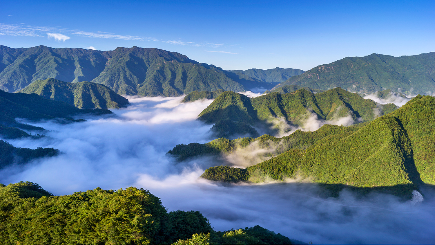 重庆城口县:云海翻滚绕峰峦 如梦如幻似仙境