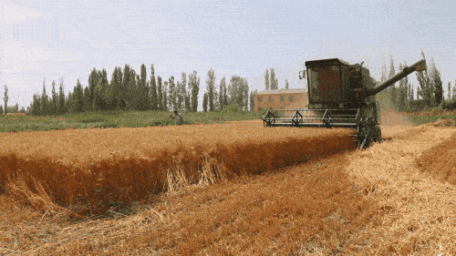 500_281 gif 动态图 动图