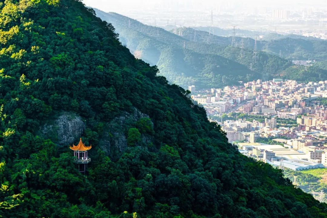 鸟瞰观音山,在500米高空欣赏她别样的风采!