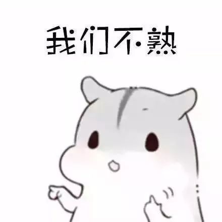 仓鼠表情包:哪有什么高冷,只是我们还不熟
