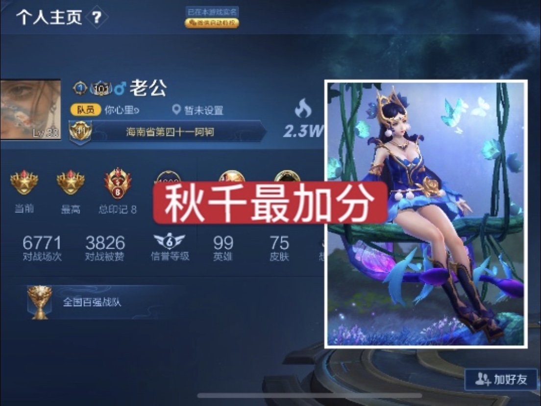 王者荣耀,个人主页,皮肤,白虎志,女生