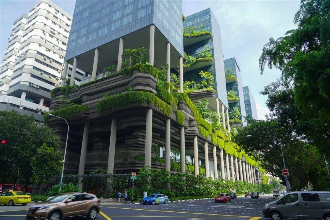 "未来城市"这样设计,你能接受吗?