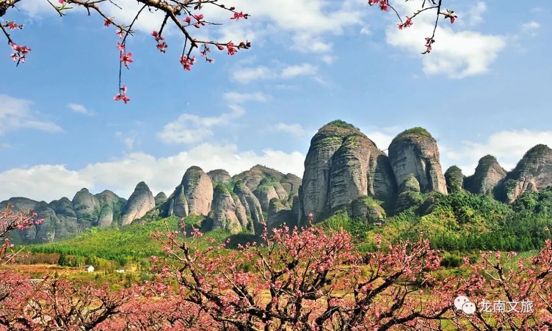 旅发大会,龙南县,客家,关西新围,叶晓鑫