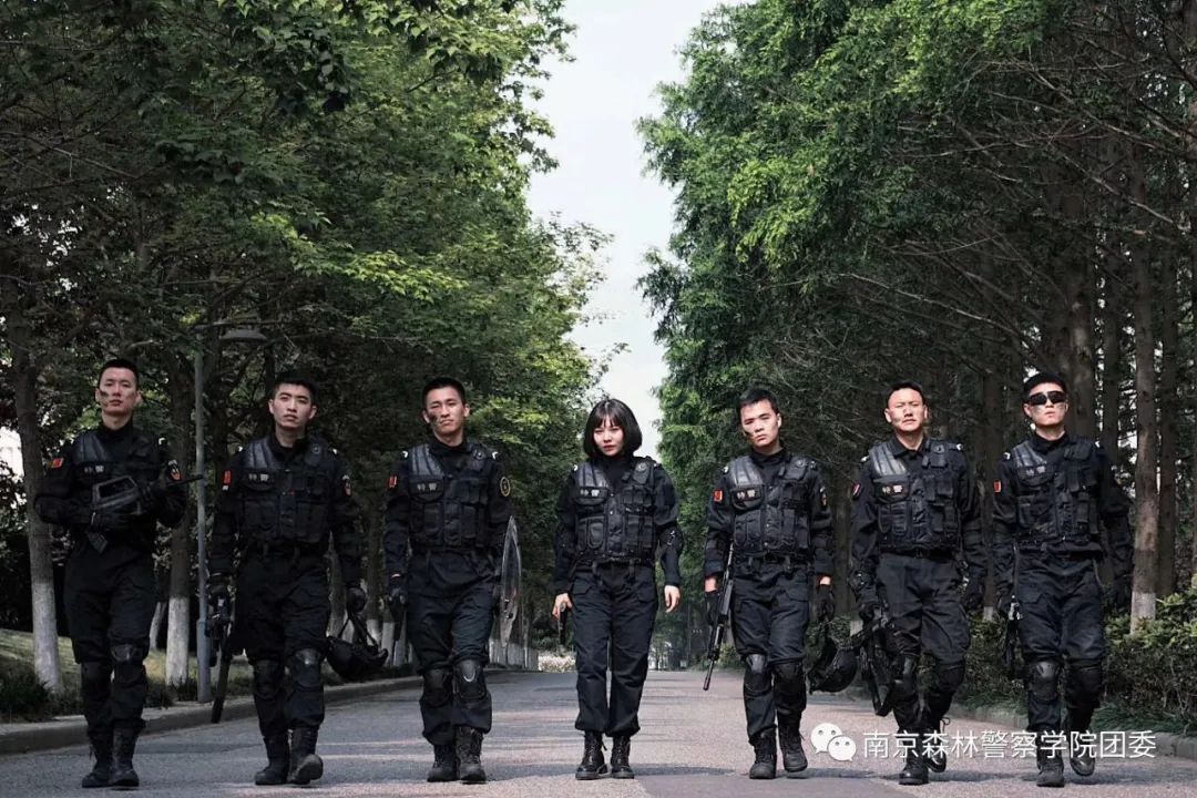 南京森林警察学院,警校,云端,南森