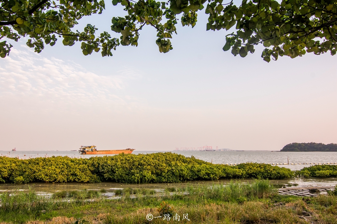 广州,生态公园,南沙,大角山海滨公园,海景