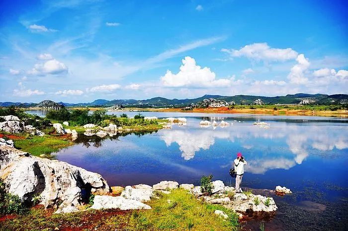 3 海峰湿地是曲靖很出名的一个旅游地,也是摄影爱好者们青睐之地.