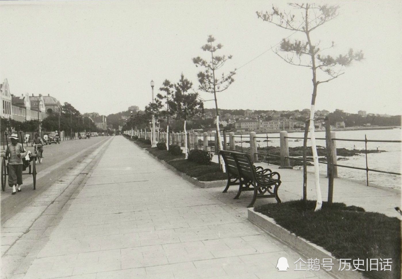 80年前的山东青岛老照片,远眺广阔的胶州湾与青岛的海水浴场