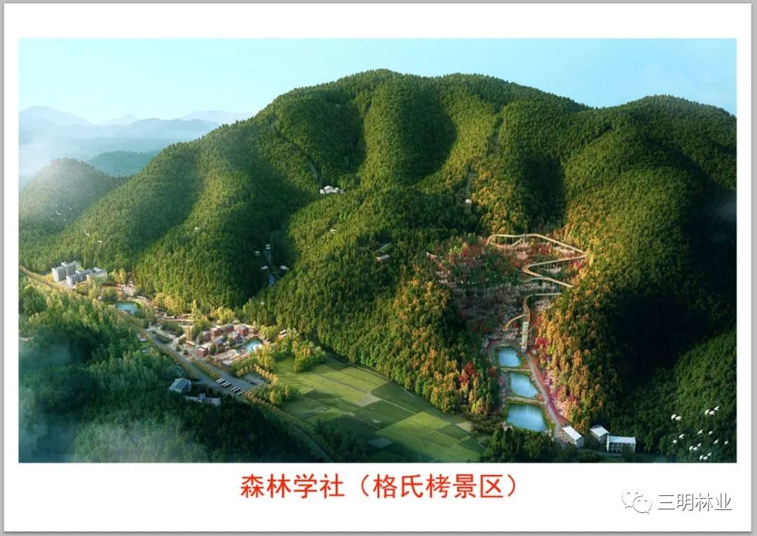 将乐县,三明,森林康养,三元