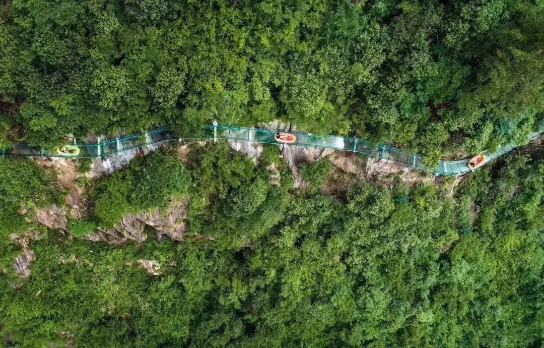 上海周边这些网红景点去过了么?竹海温泉,拈花湾,玻璃