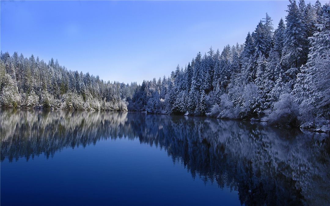 壁纸,美图,雪,冰雪世界,风景