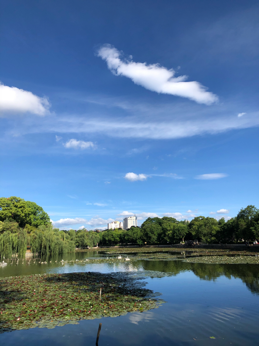 云南昆明翠湖公园之晨景