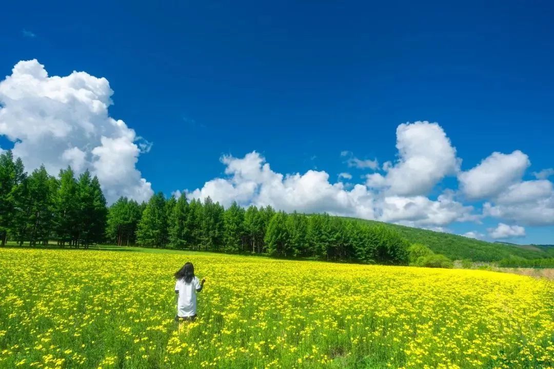 真正的"中国的小瑞士",夏季风景美到爆