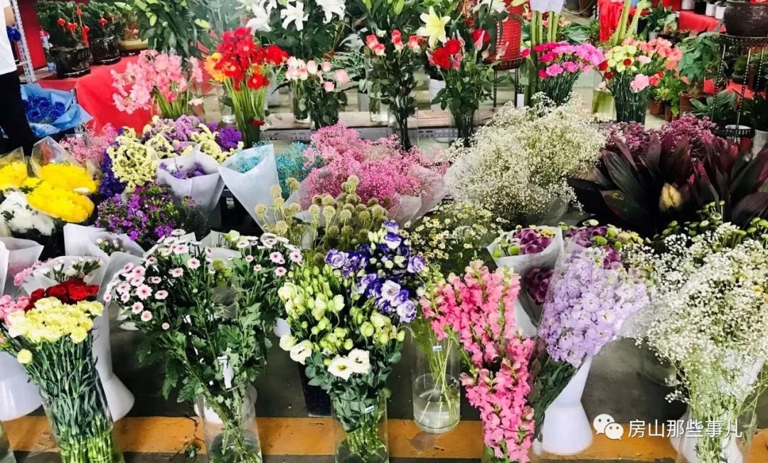 北京房山这儿有个大型花卉市场!买花倍儿便宜!知道的人真不多