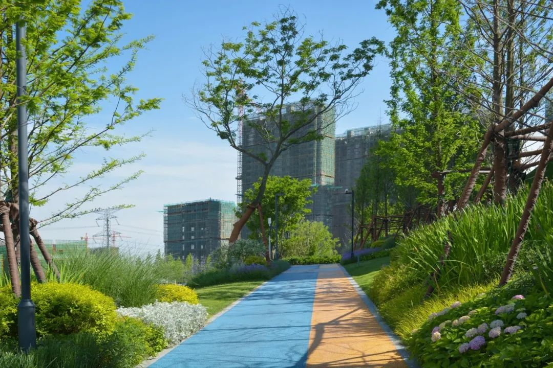 自然野趣,以植物营造景观空间