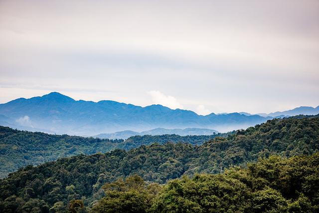 高黎贡山,云南,青藏高原,杜鹃花,山脉