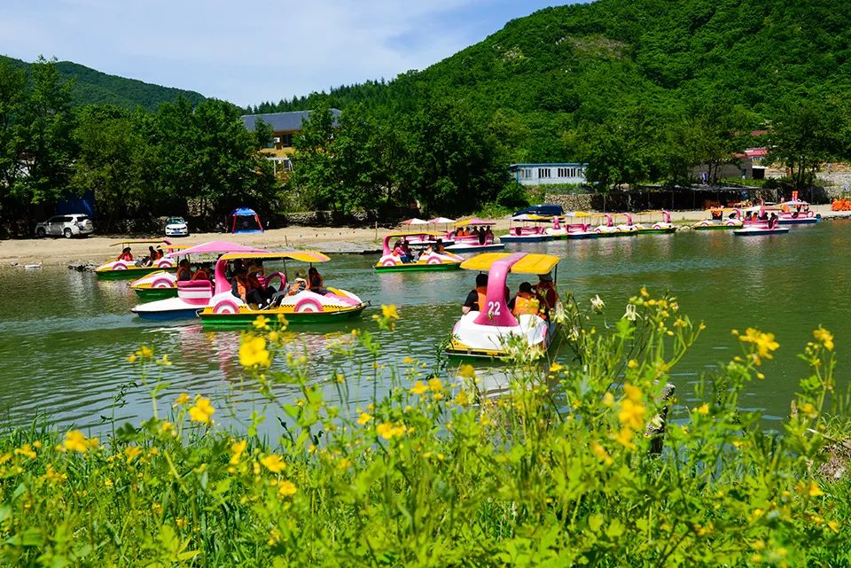 游玩,登山,庄河市,英纳河,河溪