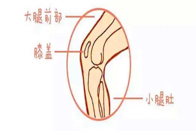 2)生长痛一般出现在夜间