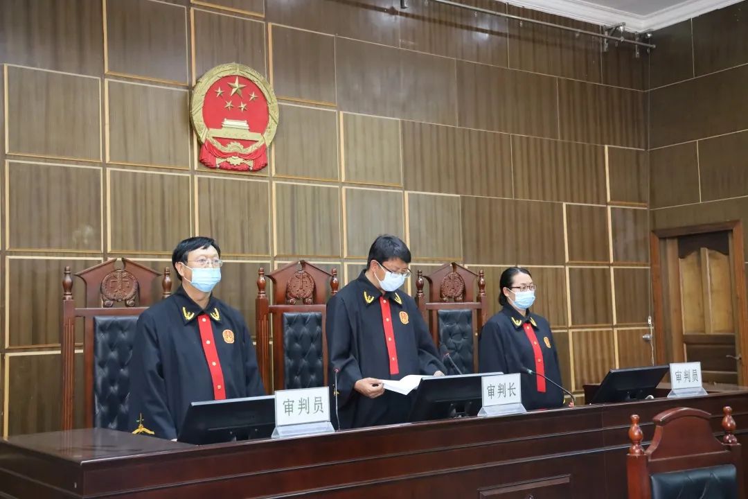 楚雄武定县邓明伟等涉恶案件一审宣判!