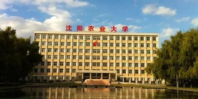 大学,沈阳,材料科学与工程,高校,辽宁大学,中国医科大学,沈阳农业大学