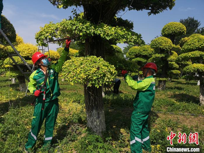 北京园林工人身穿统一工装上岗.北京市园林绿化局供图