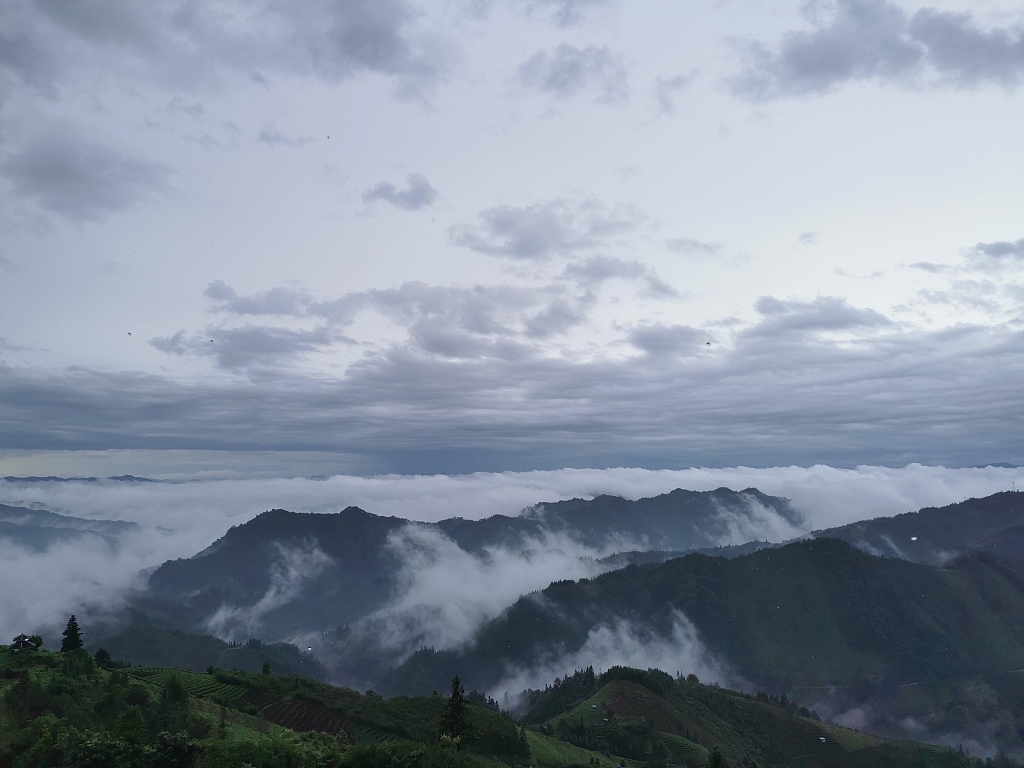 广西柳州:仙人山景区雾美如画