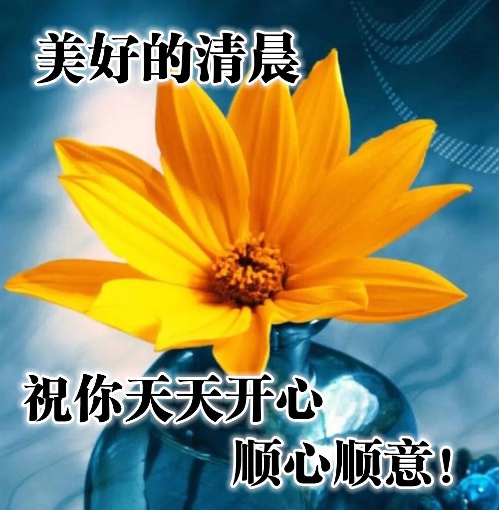 6月9日周二最新早上好问候祝福动态表情图片 6月最新早安问候语动态