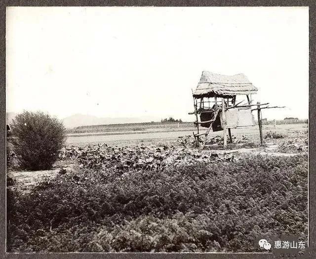 1907年9月14日