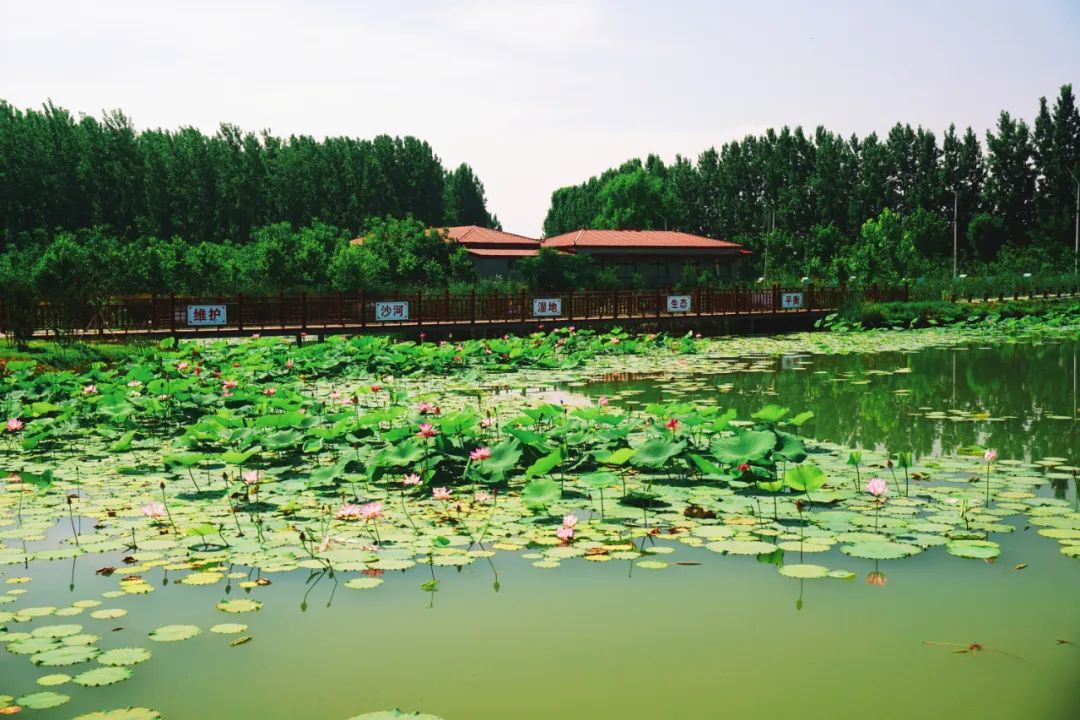 国家湿地公园,湿地公园,漯河