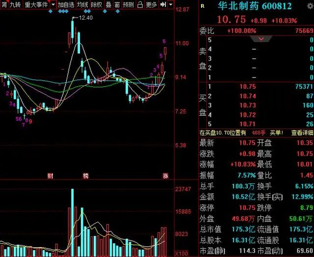 个股解析: 华北制药(600812)