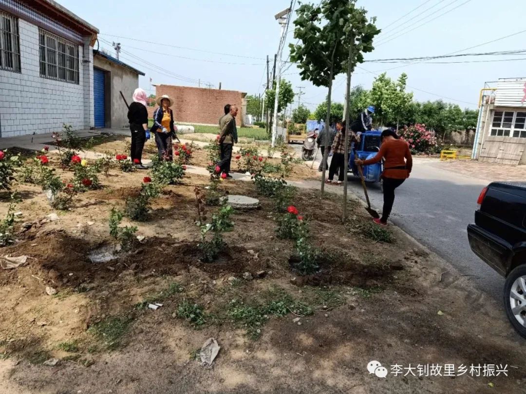 乐亭县胡家坨镇掀起栽花种草热潮,打造花园式村庄