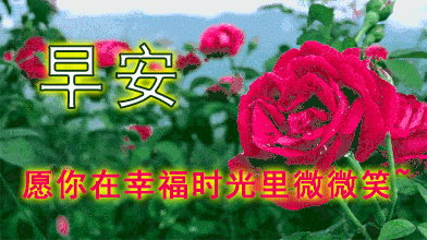 星期二早上好祝福语动态表情图片 夏天早上好心情祝福