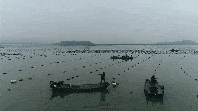 霞浦东安岛跟关门有多少人口_上海浦东机场图片