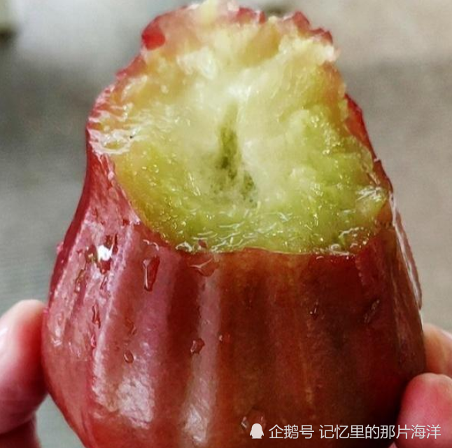 打开