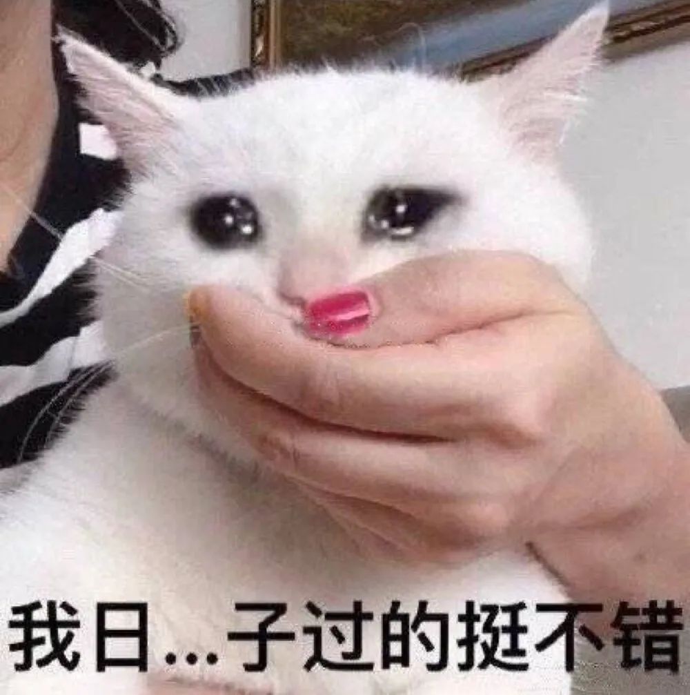 发朋友圈的沙雕句子.docx