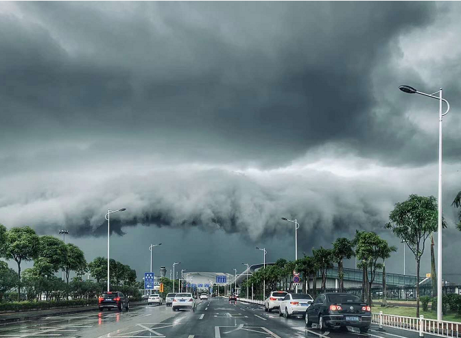 暴雨倾城,南宁一外卖小哥被大树砸倒,热心市民抬树救人暖人心!