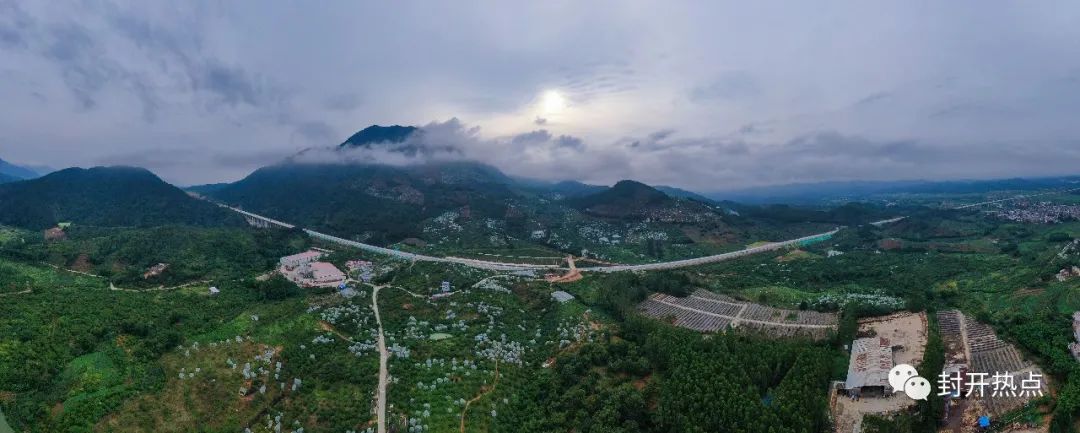 航拍封开麒麟山果园,丰收的季节!