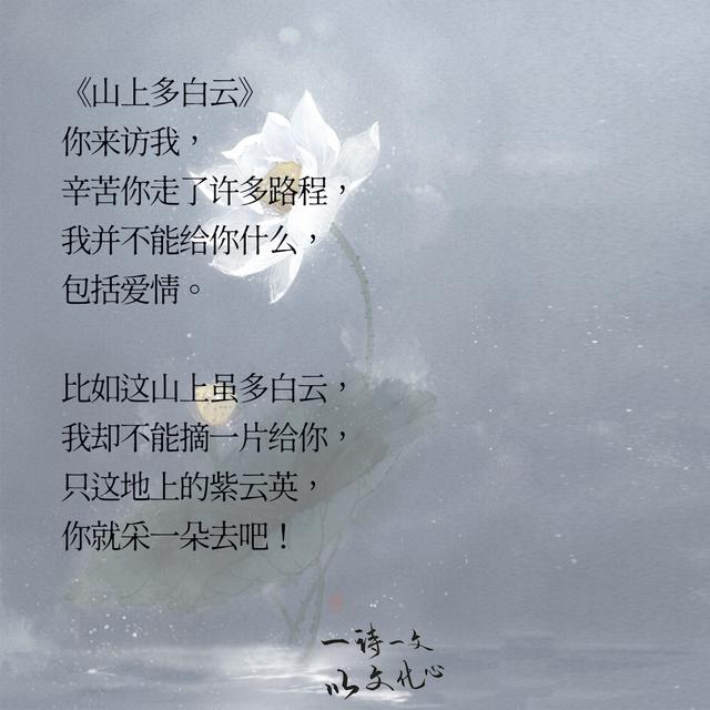 诗歌,诗词,句子,情感,文艺