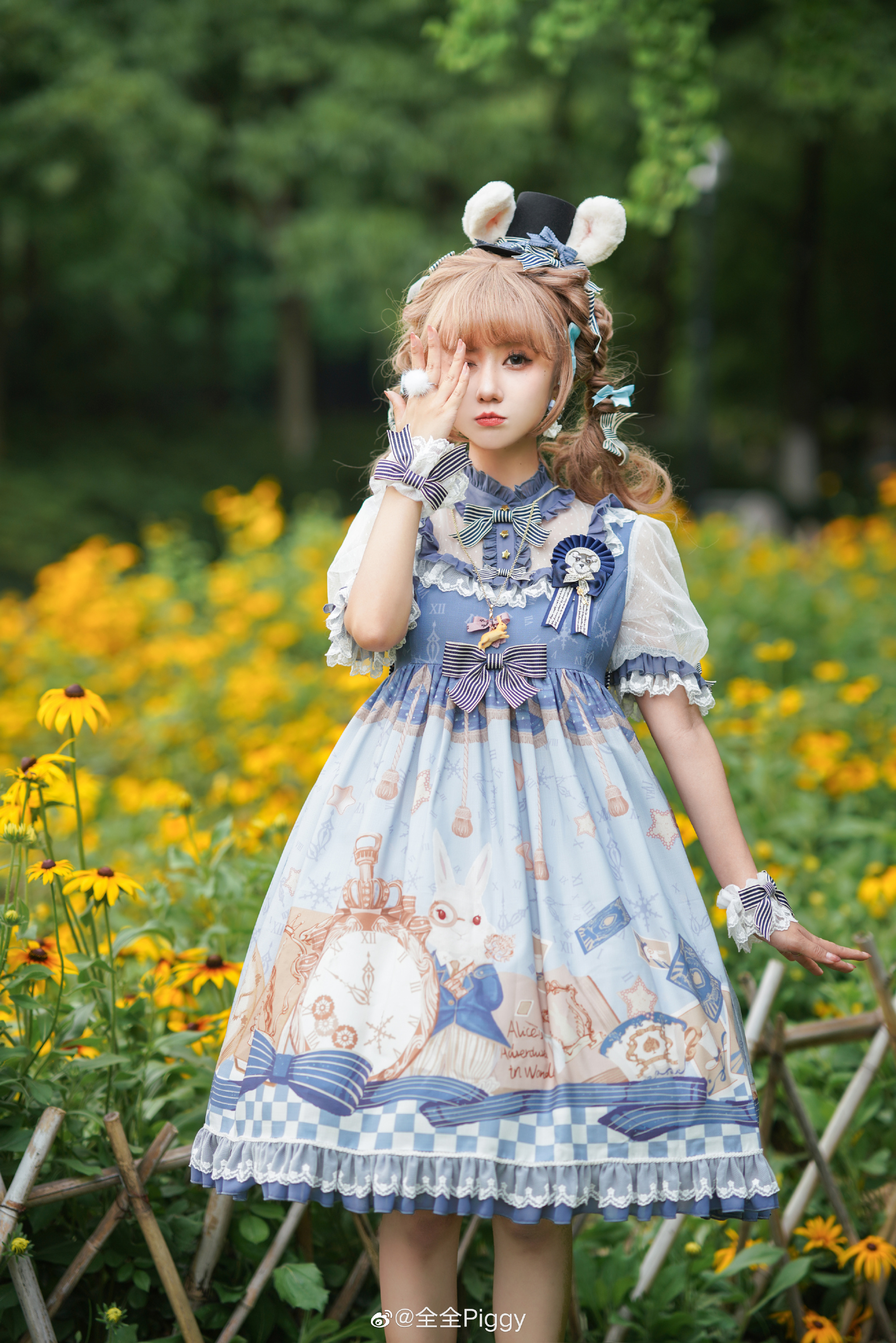 lolita:爱丽丝兔