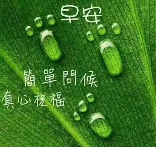 20200611早上好最美带字图片动态表情问候,新版问候朋友早安温馨祝福