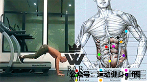 69张全面虐腹图谱练全腹肌每个部位