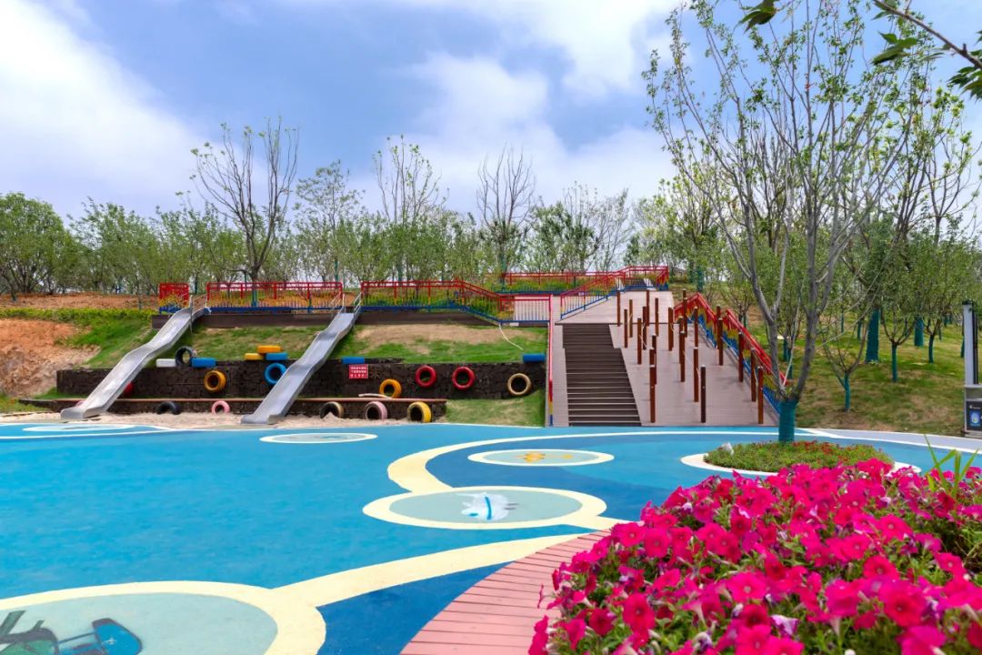 樱花,公园,溧阳