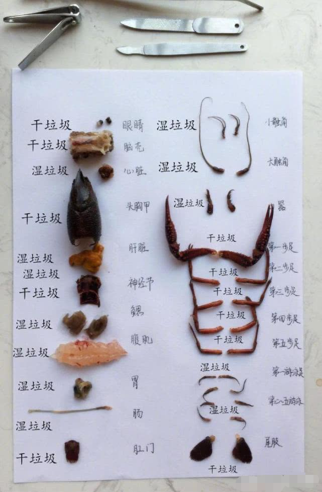 苍蝇:再也不敢惹这群沙雕网友了!