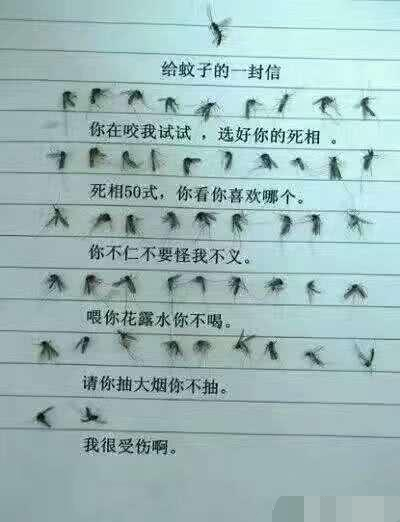 苍蝇的一百种死法,你见过几种?苍蝇:再也不敢惹这群沙雕网友了!