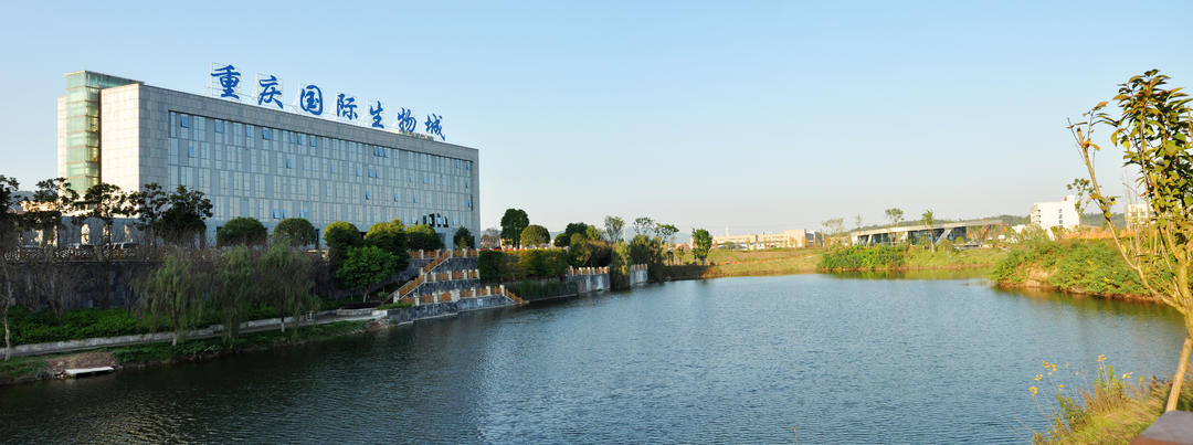巴南行之一:蓬勃崛起的重庆国际生物城