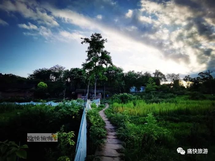 荆花湾位于自贡市大安区大安街与大山铺镇交界处,距离大安老街洞口井