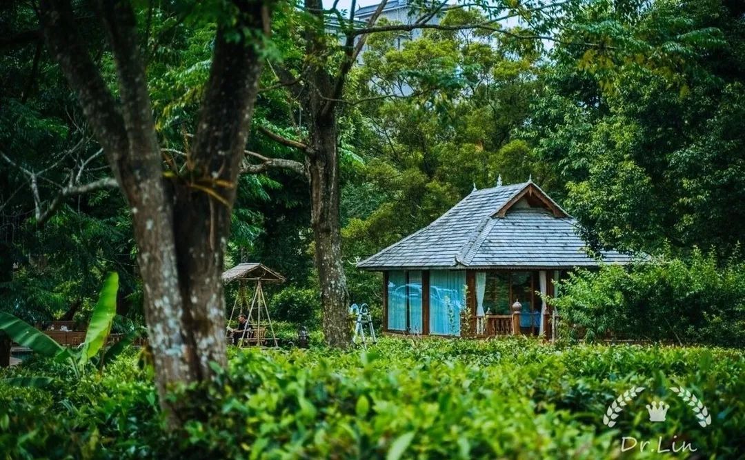 西双版纳,西双版纳总佛寺,澜沧江,热带雨林,野象谷,南糯山