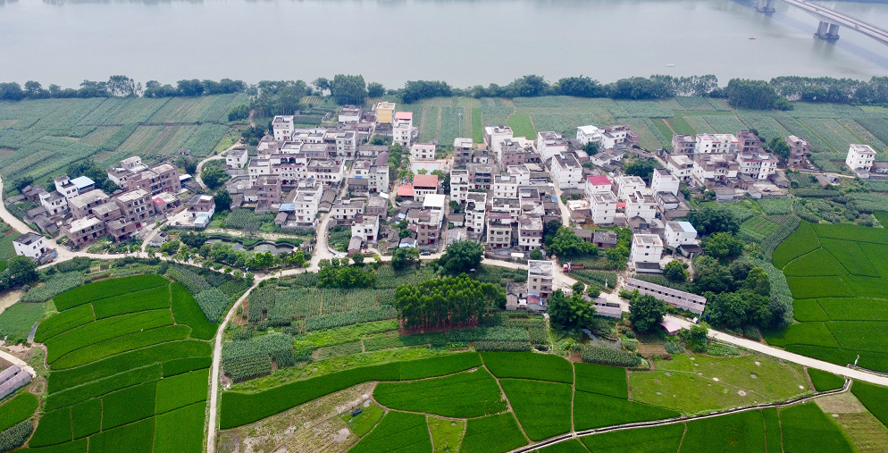贵港,覃塘区,金沙村